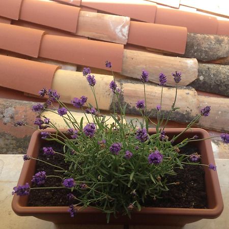 Gerani House Villa Cefalu Luaran gambar